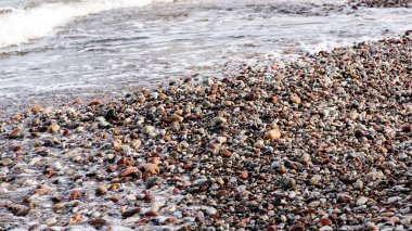 küçük bir çakıl kaya arka plan dokusu