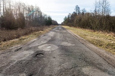 Orman boş ülkede yol