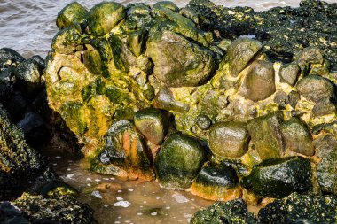 eski savaş kale Harabeleri sahilde