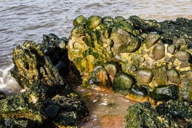 eski savaş kale Harabeleri sahilde