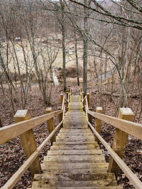 sabah erken bir kuş izle kule ile ahşap tahta