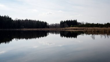 Göl su ağaçlarda yansımaları