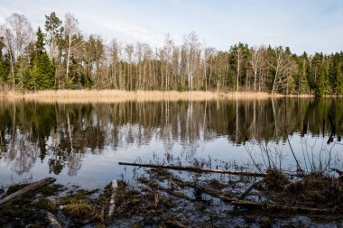 Göl su ağaçlarda yansımaları
