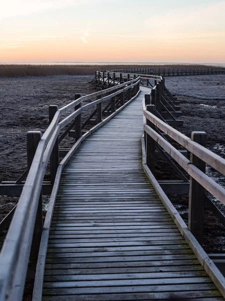 Drewniane boardwalk z ptak watch tower w wcześnie rano — Zdjęcie stockowe