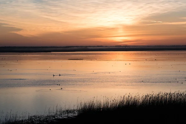 Schöner Sonnenaufgang über dem See — Stockfoto