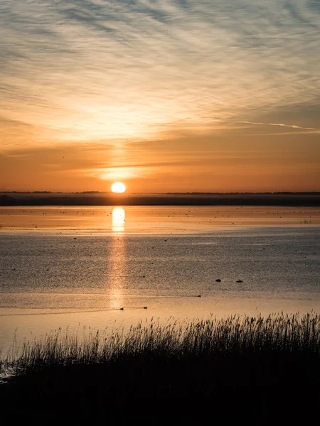 Красивый восход солнца над сельским озером — стоковое фото