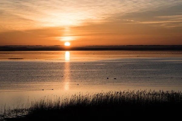 देश तलाव प्रती सुंदर सूर्योदय — स्टॉक फोटो, इमेज