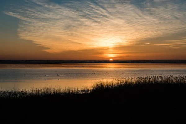देश तलाव प्रती सुंदर सूर्योदय — स्टॉक फोटो, इमेज