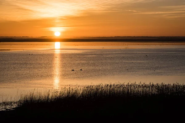 Bella alba sul lago di campagna — Foto Stock