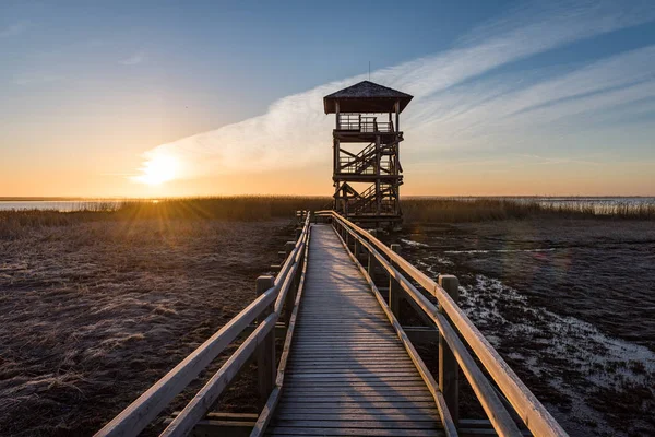 Drewniane boardwalk z ptak watch tower w wcześnie rano — Zdjęcie stockowe