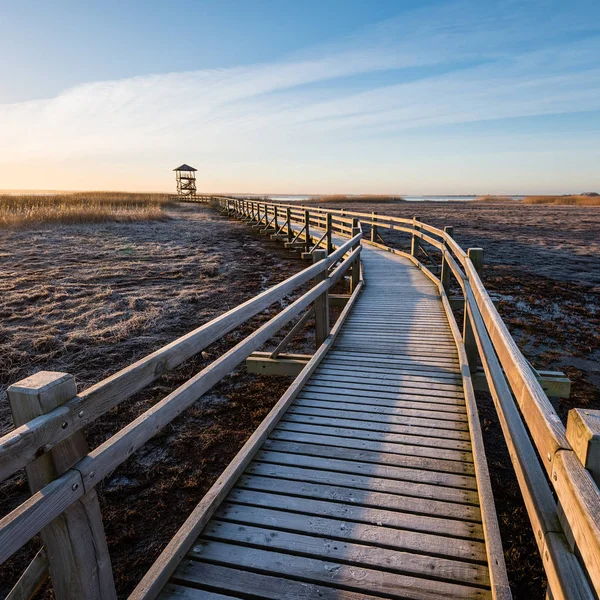 Drewniane boardwalk z ptak watch tower w wcześnie rano — Zdjęcie stockowe