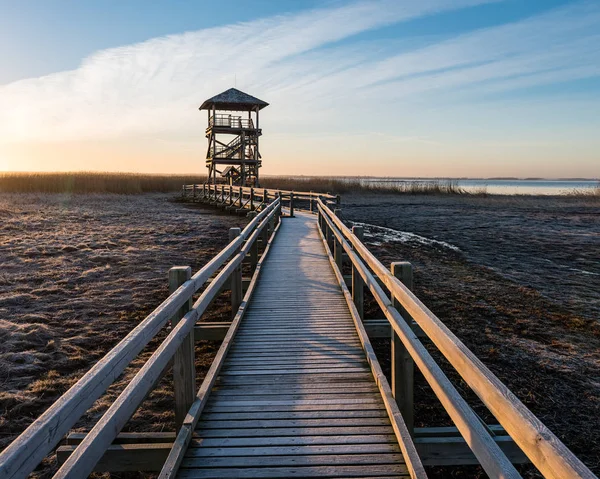 Drewniane boardwalk z ptak watch tower w wcześnie rano — Zdjęcie stockowe