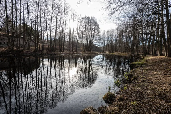 Reflets d'arbres dans l'eau du lac — Photo