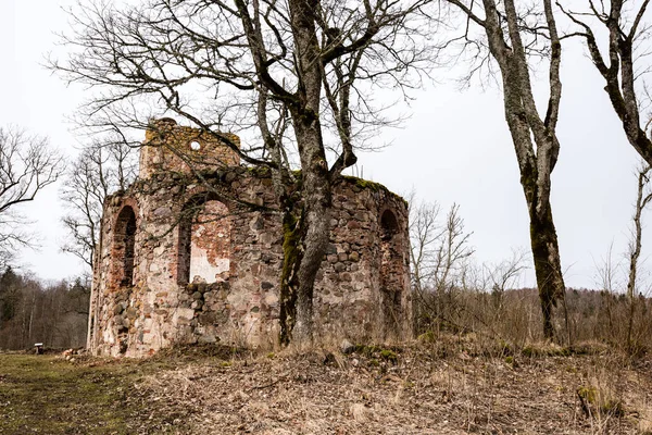 폐허의 오래 된 교회 포기 — 스톡 사진