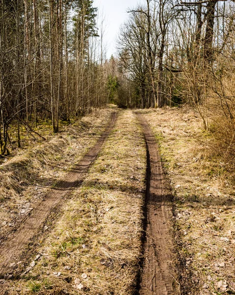 Lege landweg in bos — Stockfoto