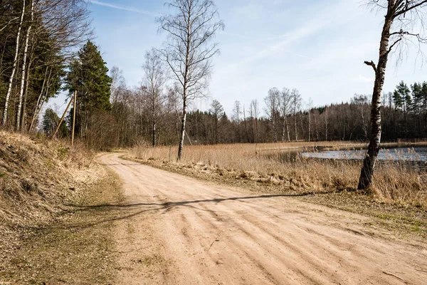 Pustej drodze w lesie — Zdjęcie stockowe