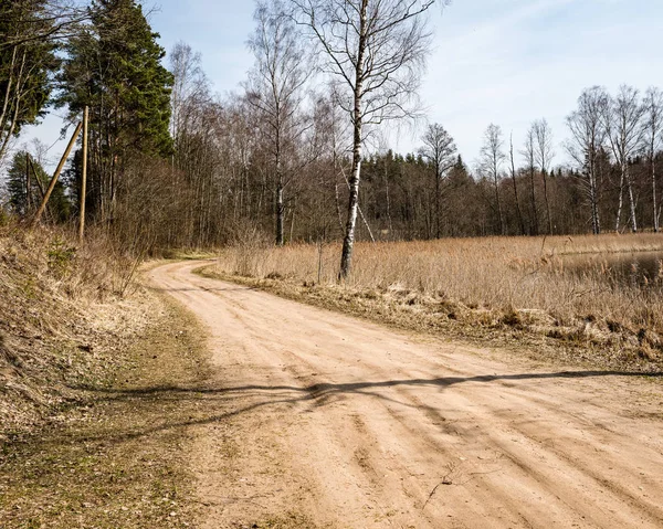 Пустой проселочной дороги в лесу — стоковое фото
