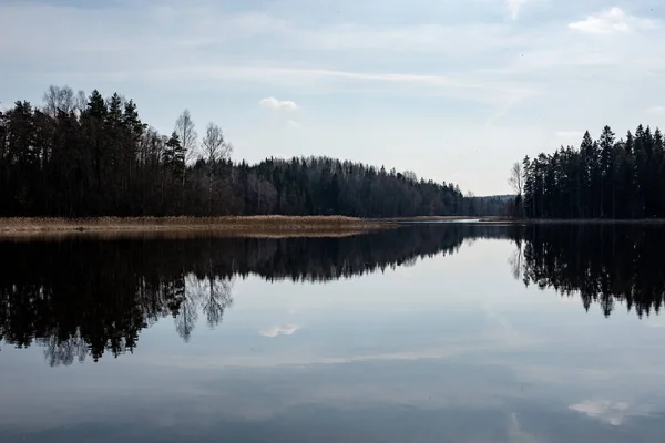 Отражения деревьев в озерной воде — стоковое фото