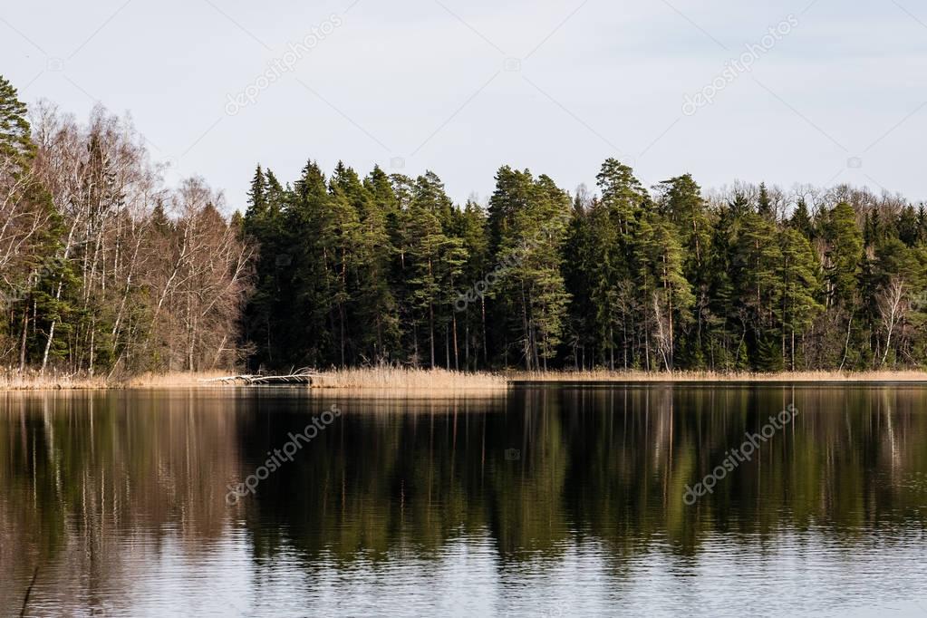 reflections of trees in the lake water