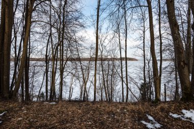 çakıl yol ile eski büyük ağaçlar Vadisi