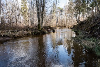 dağ nehir orman tarafından çevrili yaz aylarında