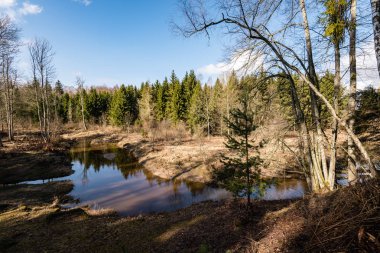 dağ nehir orman tarafından çevrili yaz aylarında