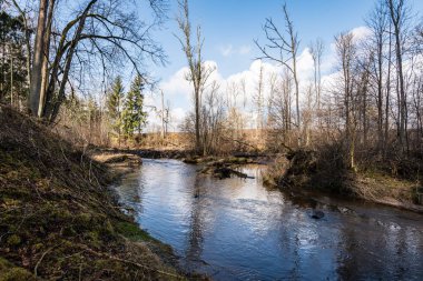dağ nehir orman tarafından çevrili yaz aylarında