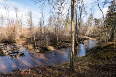 dağ nehir orman tarafından çevrili yaz aylarında