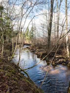 dağ nehir orman tarafından çevrili yaz aylarında