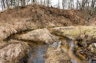dağ nehir orman tarafından çevrili yaz aylarında