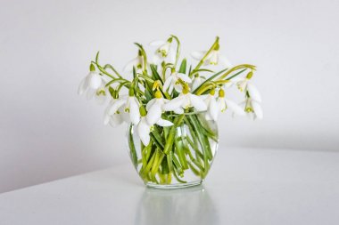 beyaz oda ışık tablo bir vazoda bahar çiçekleri