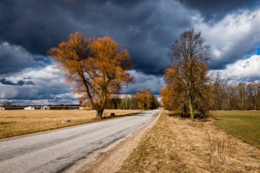 çakıl yol ile eski büyük ağaçlar Vadisi