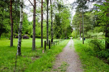 Norveç Deniz Sahil Manzaralı