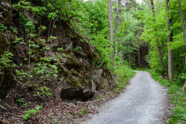 Norveç Deniz Sahil Manzaralı