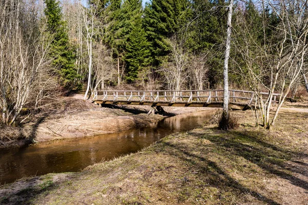 Berg rivier in de zomer omgeven door bos — Stockfoto