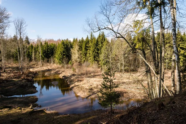 Río de montaña en verano rodeado de bosque — Foto de Stock