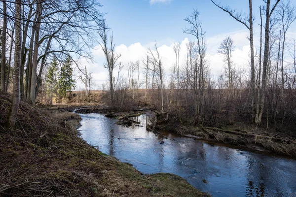 Río de montaña en verano rodeado de bosque —  Fotos de Stock