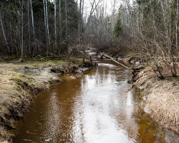 dağ nehir orman tarafından çevrili yaz aylarında