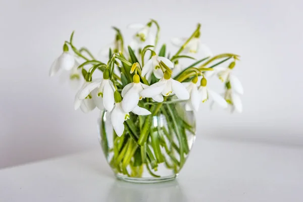 在白色的房间里的灯桌上的花瓶里的春天的花朵 — 图库照片