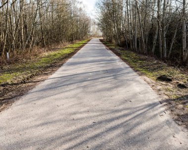 Köy yolunda bakış açısı ile