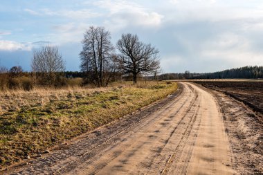 Köy yolunda bakış açısı ile