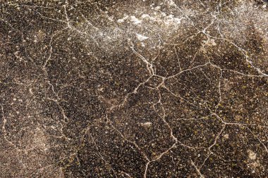 Terk edilmiş eski kale bina kalıntıları