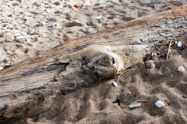 Terk edilmiş eski kale bina kalıntıları