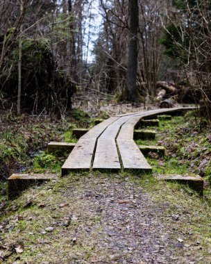 bataklığındaki ahşap yaya köprüsü
