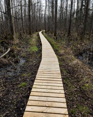 bataklığındaki ahşap yaya köprüsü