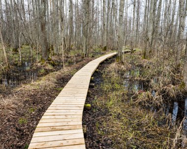 bataklığındaki ahşap yaya köprüsü