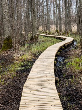 bataklığındaki ahşap yaya köprüsü