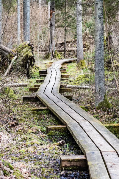 Wooden footbridge in the bog — Stock Photo, Image