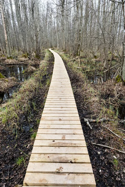 bataklığındaki ahşap yaya köprüsü