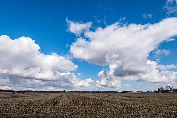 Campos en el país bajo el cielo azul con nubes blancas — Foto de Stock